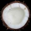 coconut, narial