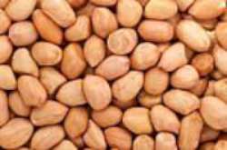 raw groundnuts peanuts