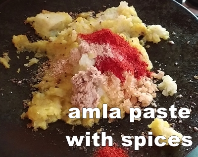amla paste spices - 400x317
