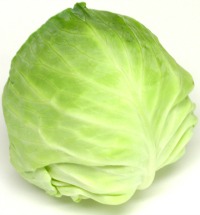 Cabbage - Gobi - Kobi - Kosu
