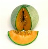 musk melon cantaloupe