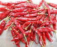 Dry red guntur chili