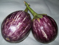 Brinjal - vangi - eggplant