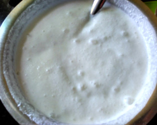 fermented idli batter