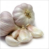 Garlic bulbs and pods