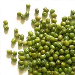 whole Mung bean - Green gram