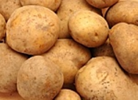 potatoes 450x327