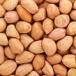 Raw peanuts - Groundnuts