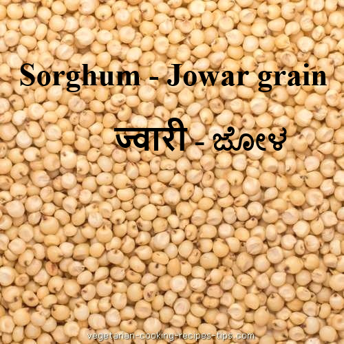sorghum - jowar - jwari -cholam - jonnalu - jola