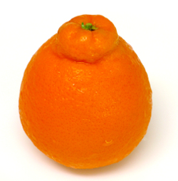 Tangelo - Orange
