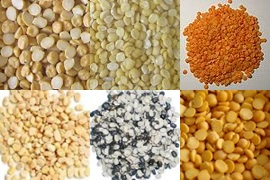 Types of split lentils - pulses