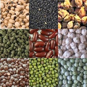 There are many types of lentils used in lentil recipes such as green lentils, chana/ garbanzo beans, cow pea etc. Whole as well as split lentils, known as dal are used in Indian cooking.