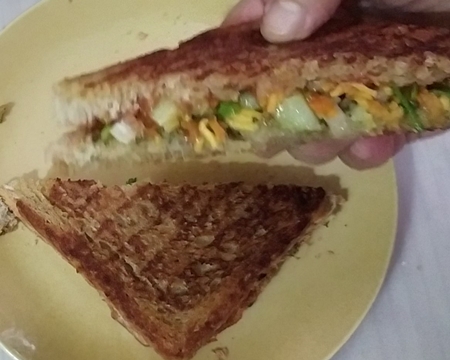veg sandwich-10-450x360