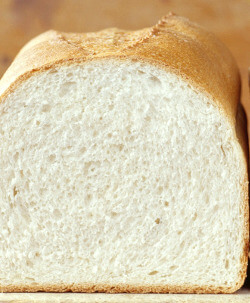white bread slice