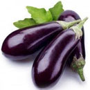 Aubergine in England, Brinjal in India  and Eggplant in America