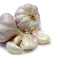 Garlic bulbs and pods