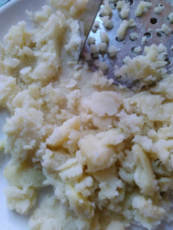 boiled and mashed potato - aloo