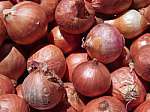 Onion - kanda - pyaj