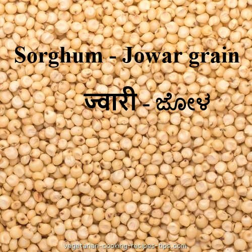 Sorghum jowar millet is part of healthy whole grains commonly used in Gujrat, Karnataka, Maharashtra states. It is used to make roti bread, known as bhakri. It is also known as milo.